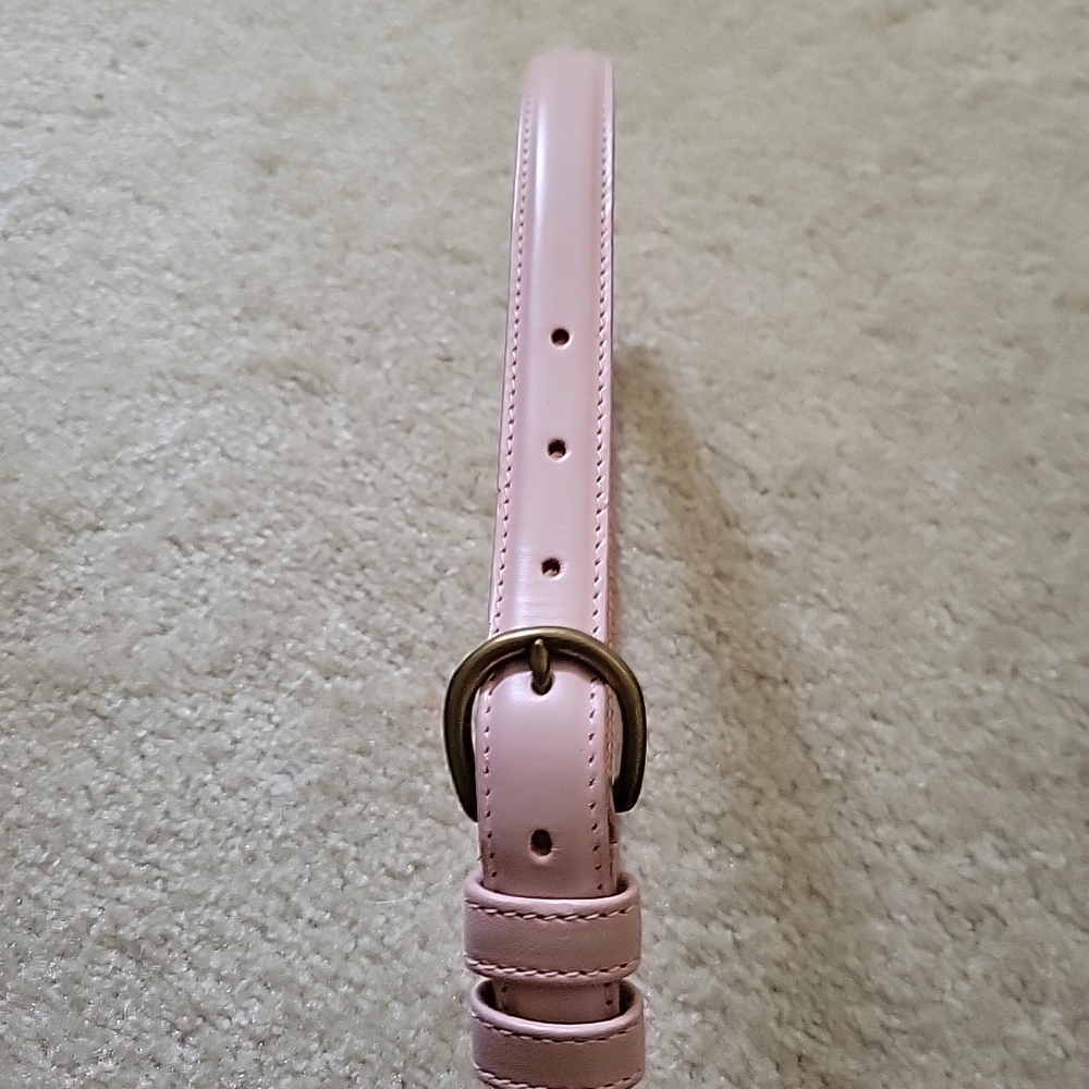 American Apparel Pink Leather Belt with Classic Buckle